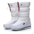 Bottes Neige Femme Blanc Isolées – Valenne